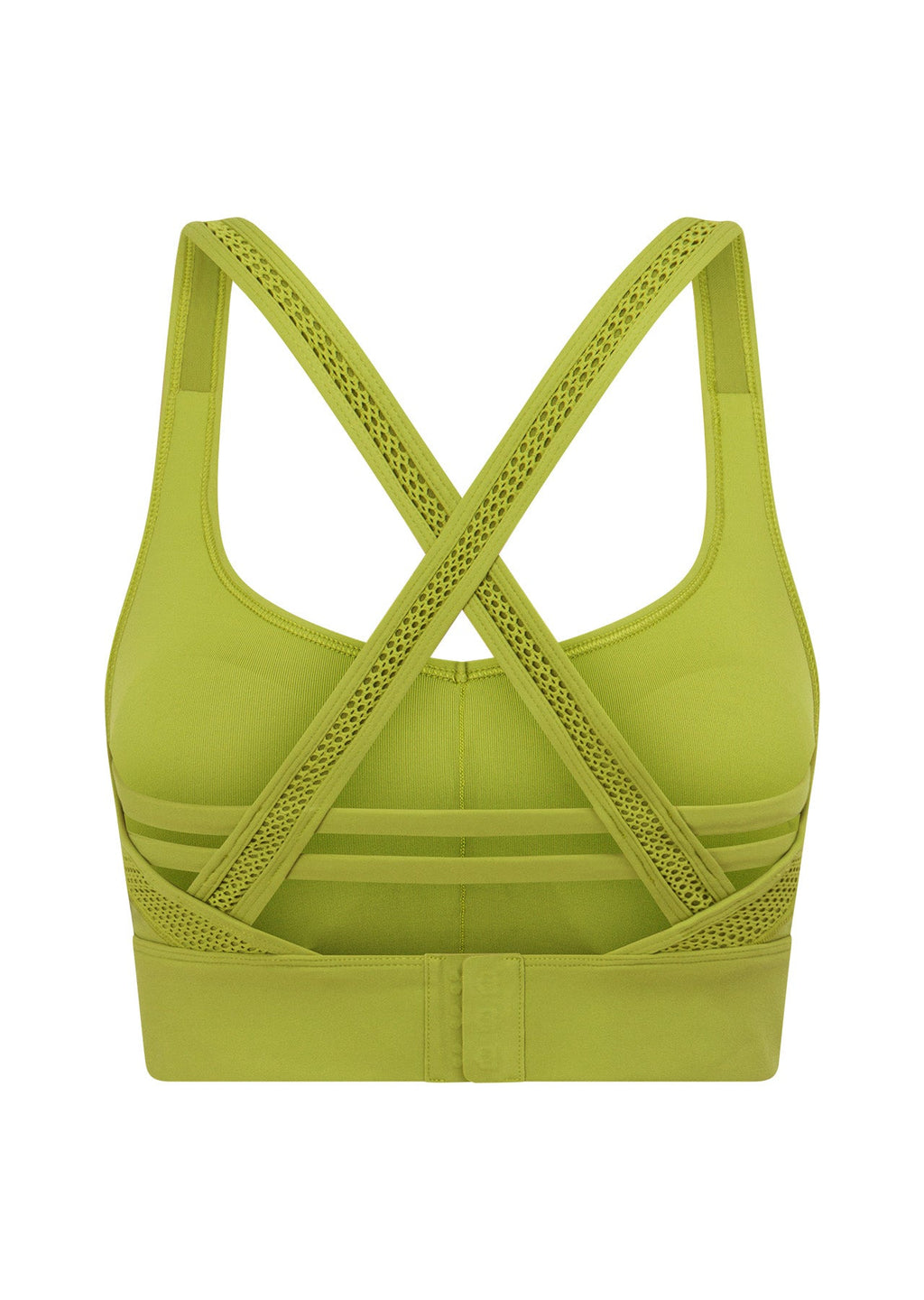 Possibility Sports Bra