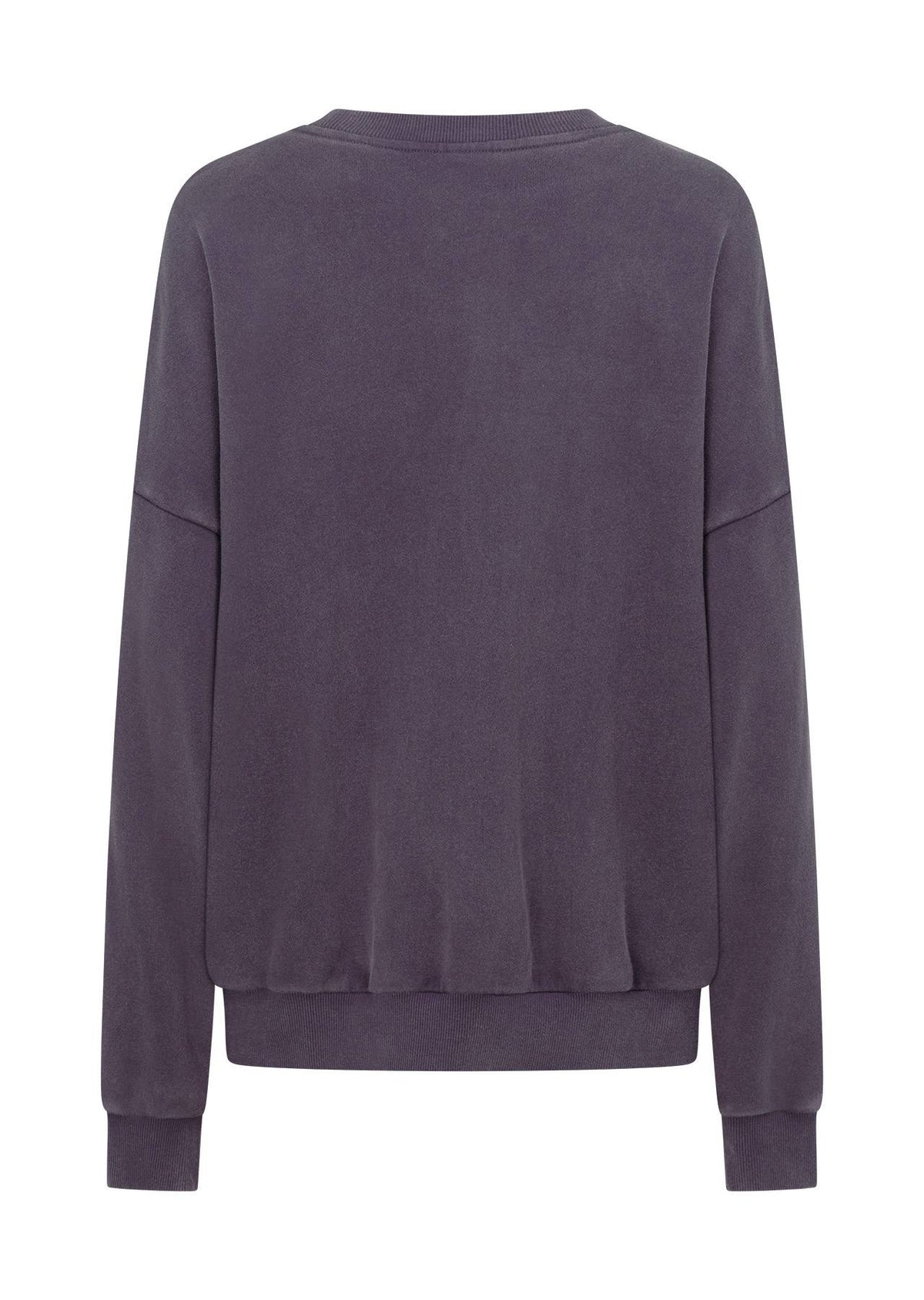 New Sport Washed Sweatshirt