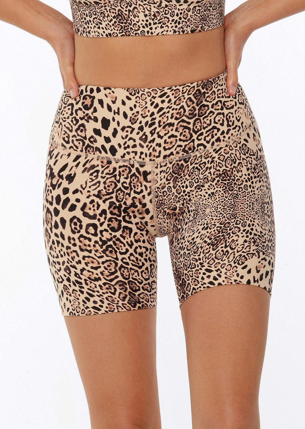 Ocelot Excel Bike Shorts