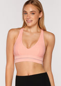 Divinity Sports Bra